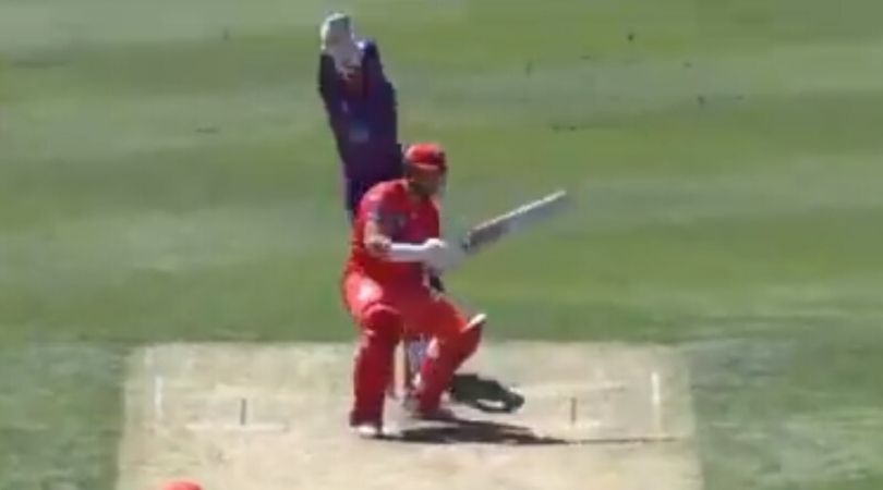 BBL 2019- Spinner Qais Ahmad stuns everyone with a deadly bouncer: The ninth edition of the Big Bash League is at its apex stage.