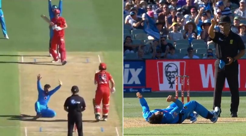 WATCH- Rashid Khan falls down hilariously while appealing in BBL 2019