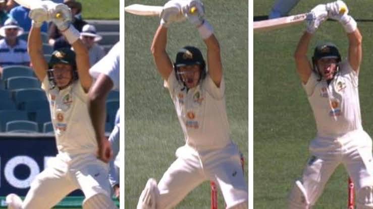 Marnus Labuschagne showcases variety of ‘No Run’ calls in the first Test against India