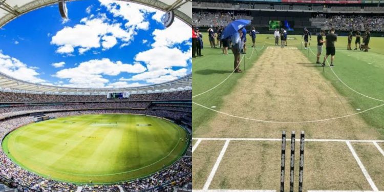 Perth Cricket Stadium Pitch