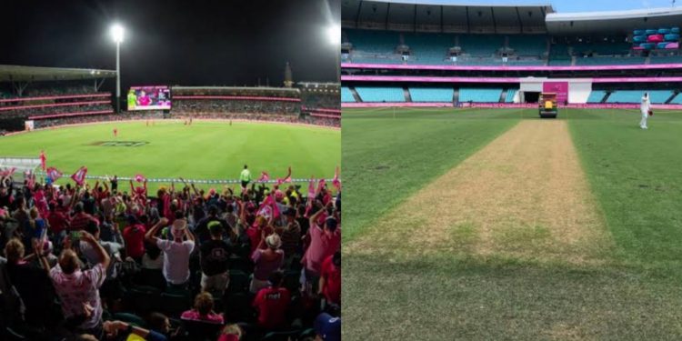 Sydney Cricket Ground Pitch (Pic - Twitter)