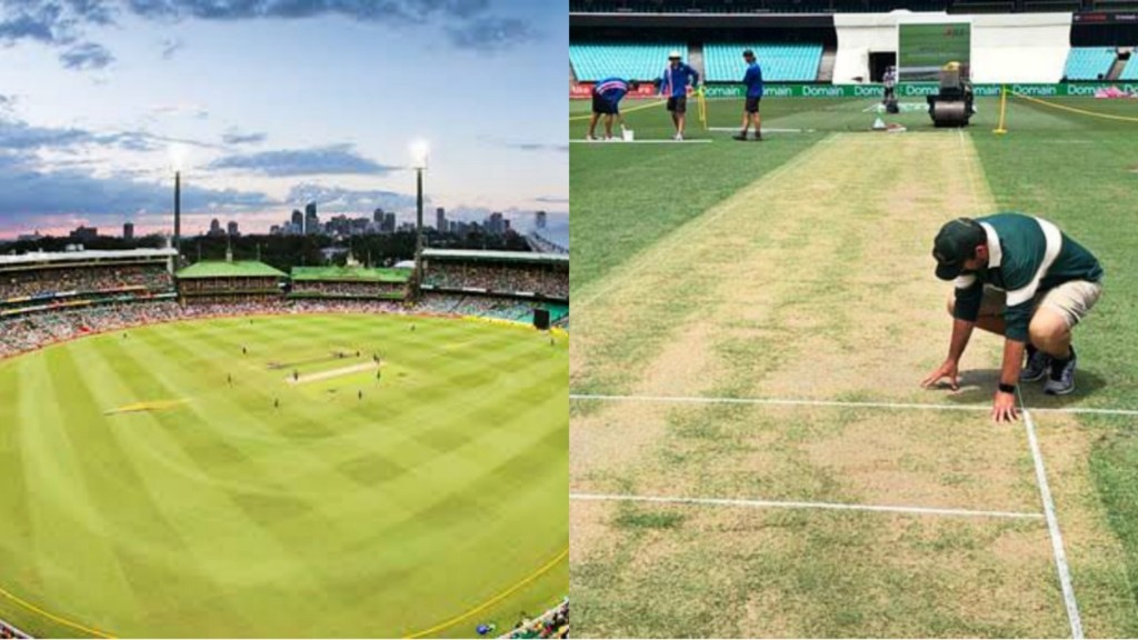 Sydney Cricket Ground Pitch Report T20 Records Weather During Aus Vs Sl Match 6559