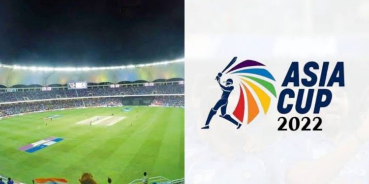 Dubai International Cricket Stadium Pitch Report