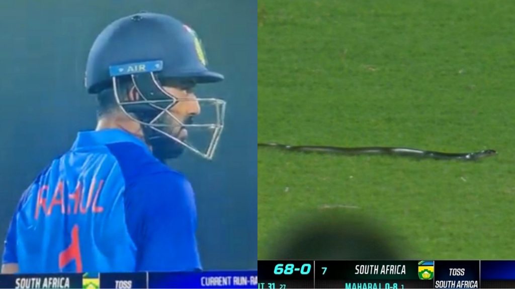 India vs south africa T20I