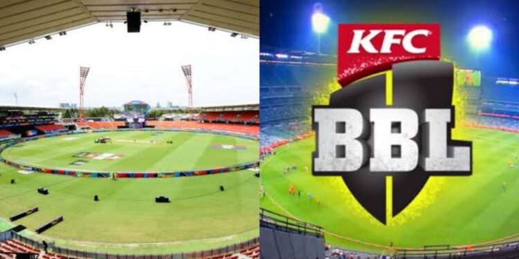 Sydney Showground Stadium pitch report for BBL 2022-23 season.