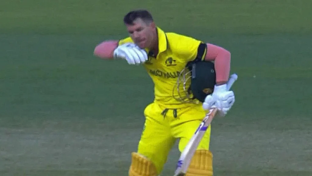 David Warner celebrates century in Pushpa style