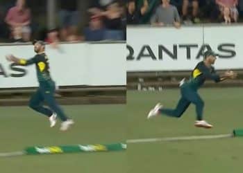WATCH: Glenn Maxwell pulls off a screamer to dismiss South Africa's Ryan Rickelton in T20I opener