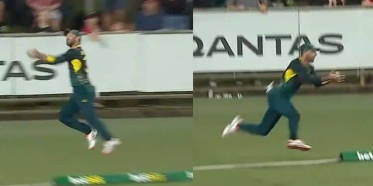 WATCH: Glenn Maxwell pulls off a screamer to dismiss South Africa's Ryan Rickelton in T20I opener