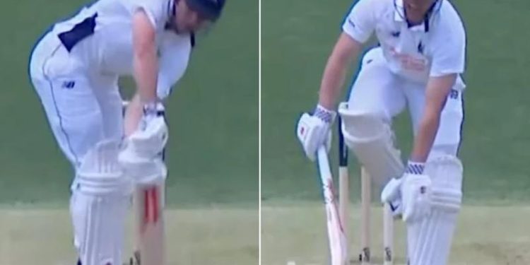 Watch: Mitchell Starc unleashes a toe-crushing yorker to get rid of Harry Dixon in Sheffield Shield